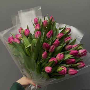 30 Purple Tulips
