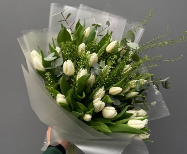 40 Tulips with a Greenery