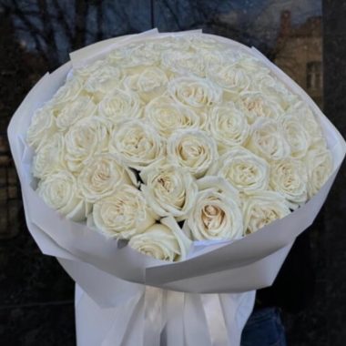 51 white royal roses