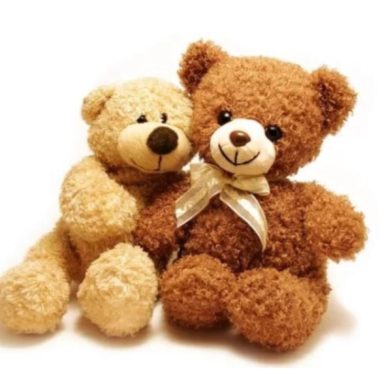 Small Teddy Bears