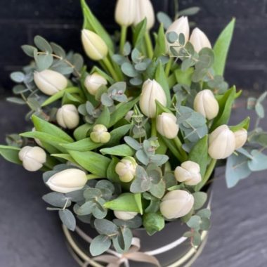 White tulips in a Box