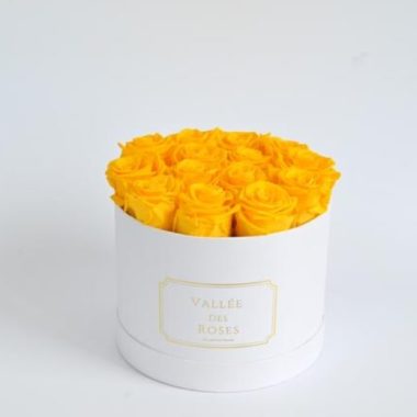 Yellow Preserved Roses