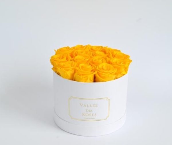 Yellow Preserved Roses